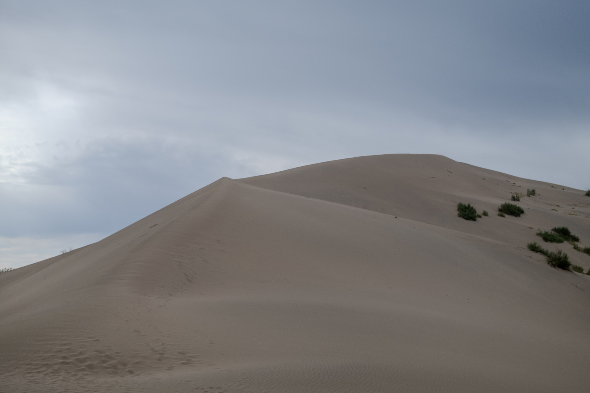 photo of the dune