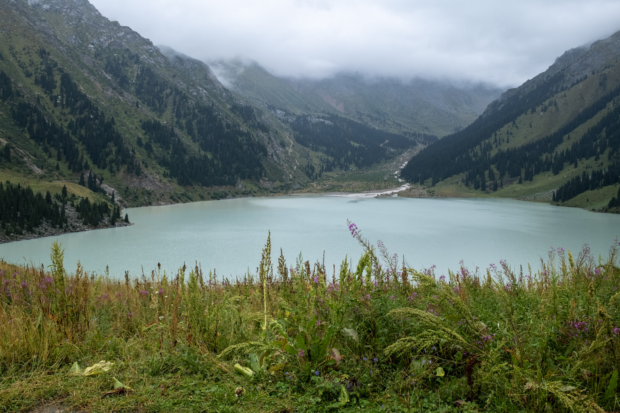 Big almaty lake in front of pink wildflowers