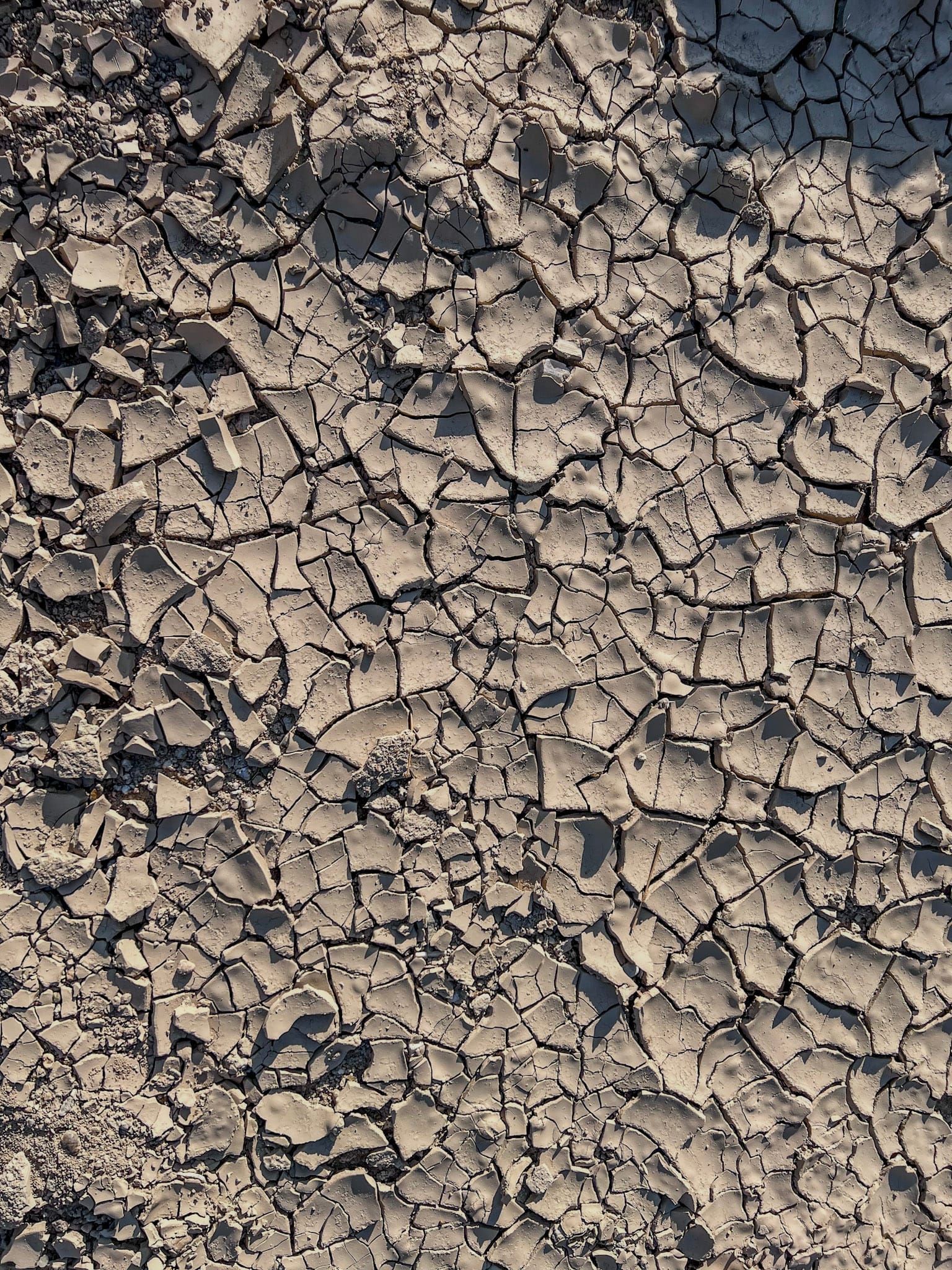 cracked floor